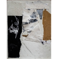 Collage-11