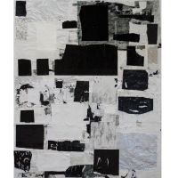 Collage-3