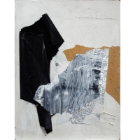 Collage-8
