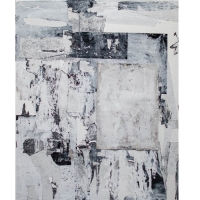Collage-XVII
