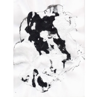 19a