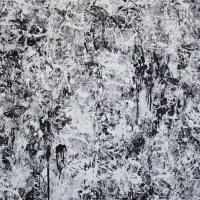 Phaser_-150x180cm-tecnica-mixta-s_tela-2018-46.000.