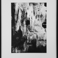 Dark transfer n1