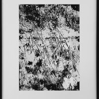 Dark transfer n2