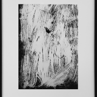 Dark transfer n4