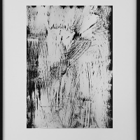 Dark transfer n5
