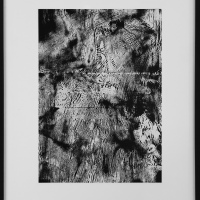 Dark transfer n6