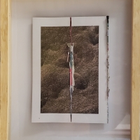 _Casacade_, 30x18cm, 2019 collage