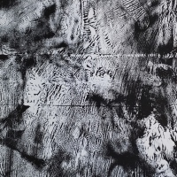 dark transfer 6