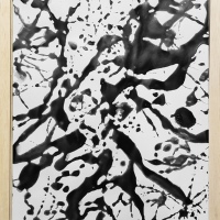 n17) 31,5x23,5cm