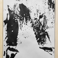 n18) 31,5x23,5cm