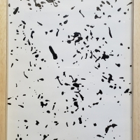 n2)33,5x24,5cm